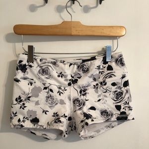 Fleo Workout Shorts